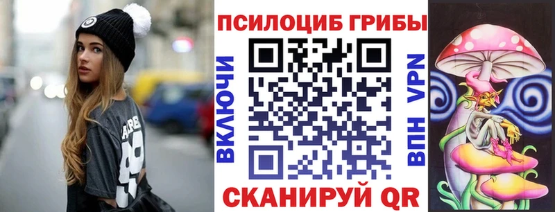 Галлюциногенные грибы Cubensis  наркошоп  Белокуриха 